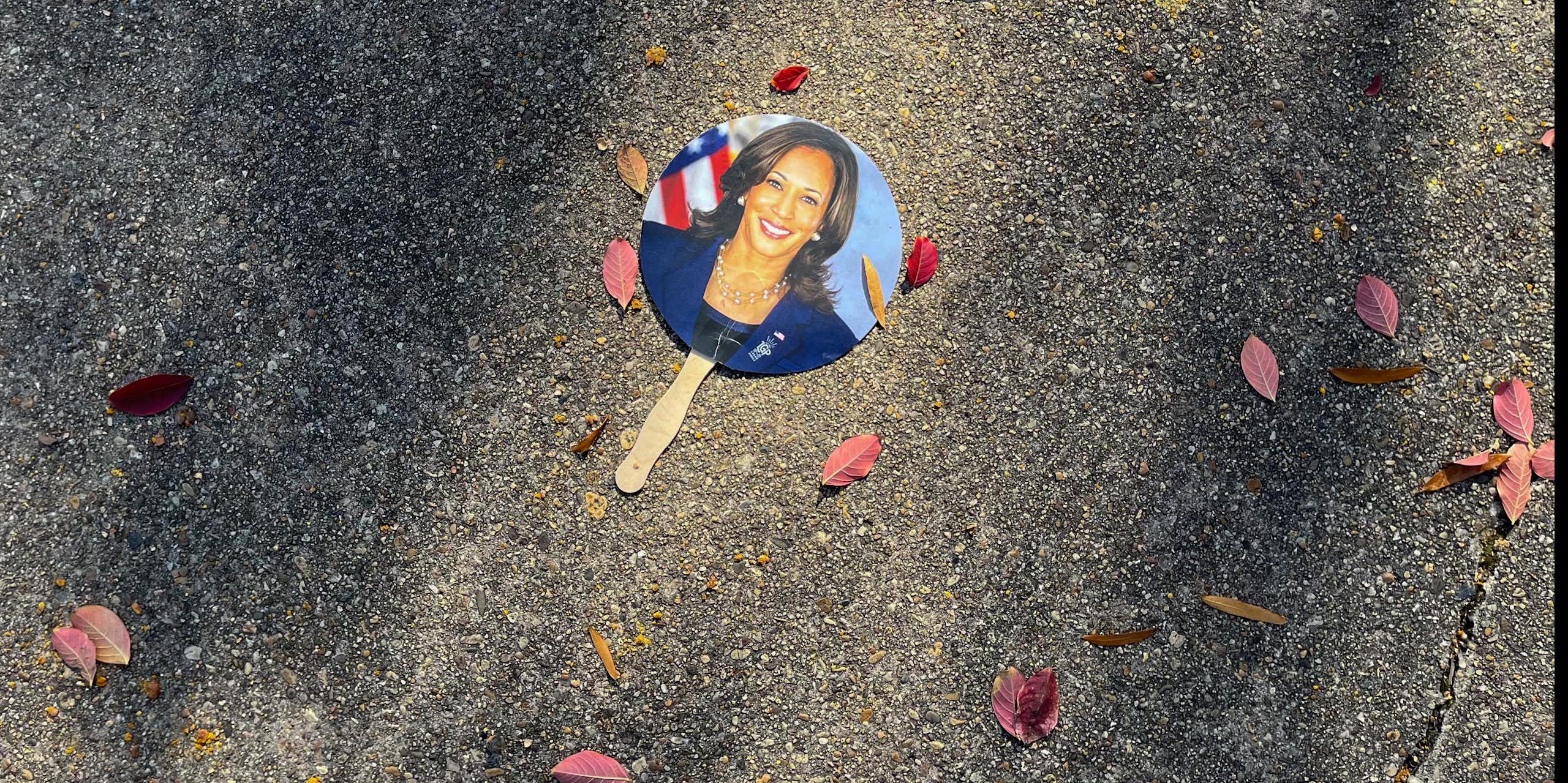 A circular photo off a woman wearing a blue blazer is seen on the ground with some leaves surrounding it.