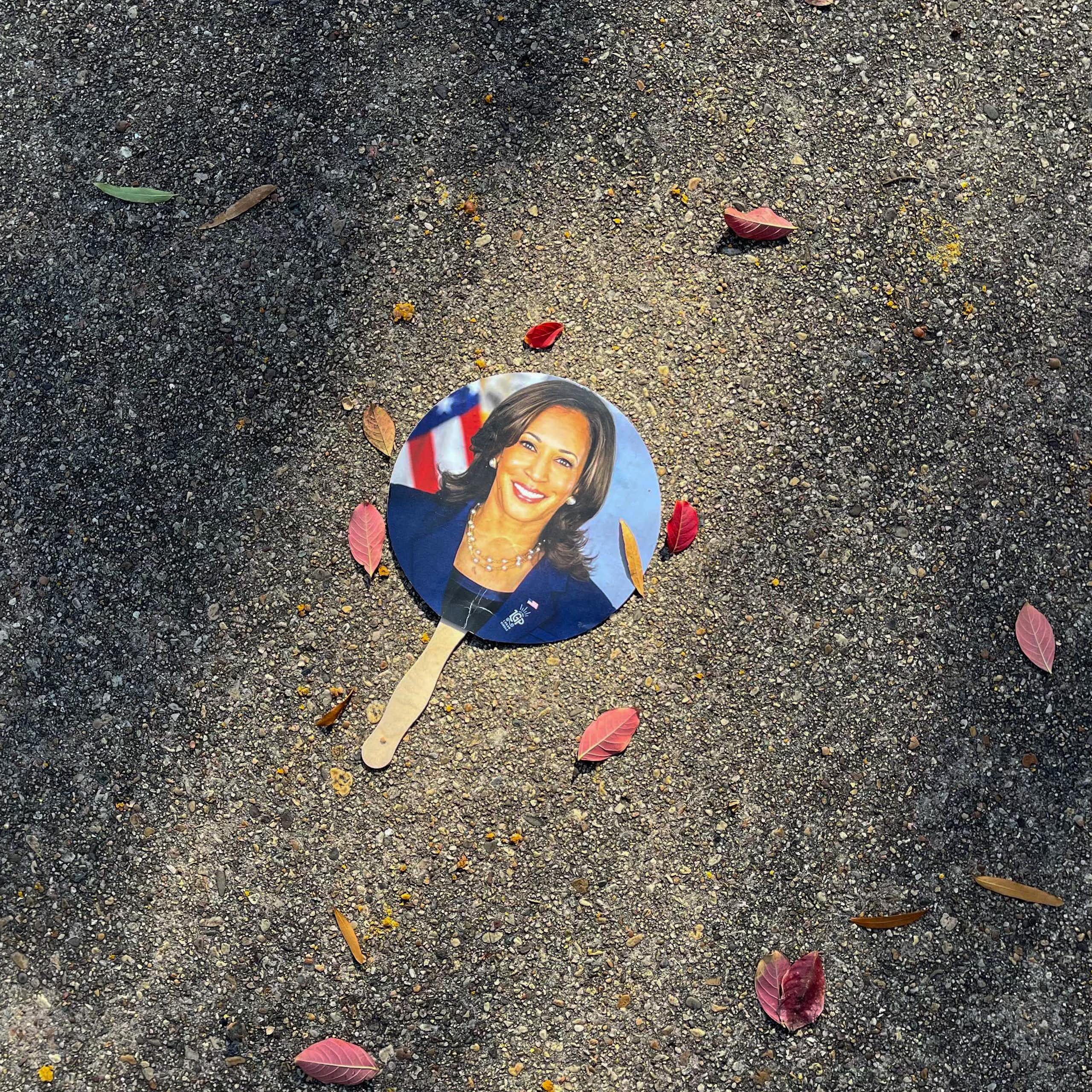 A circular photo off a woman wearing a blue blazer is seen on the ground with some leaves surrounding it.
