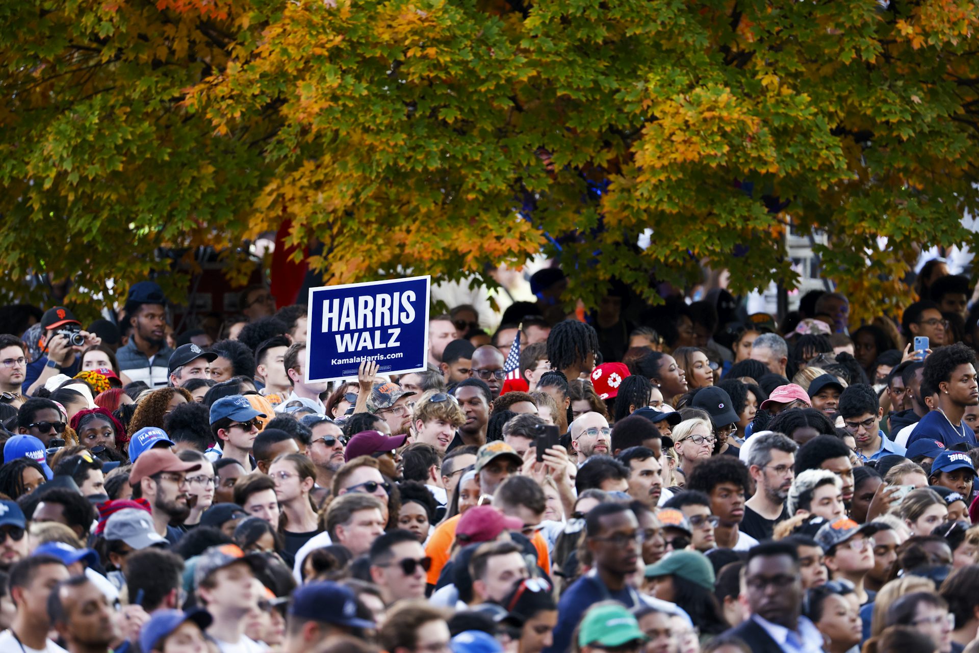 Why did white women and the Democratic base abandon Kamala Harris? My view from the campaign trail