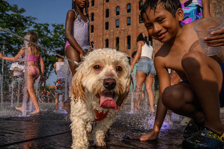Kids in bathing suits at a water park. A dog and a boy face the camera in the foreground.