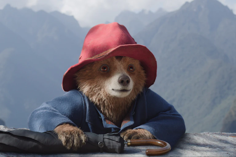 Paddington on a ledge