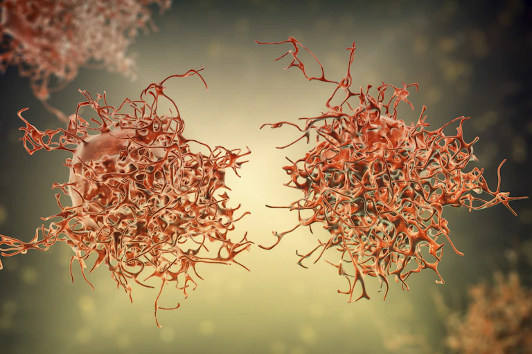 Cervical cancer cells, computer illustration.