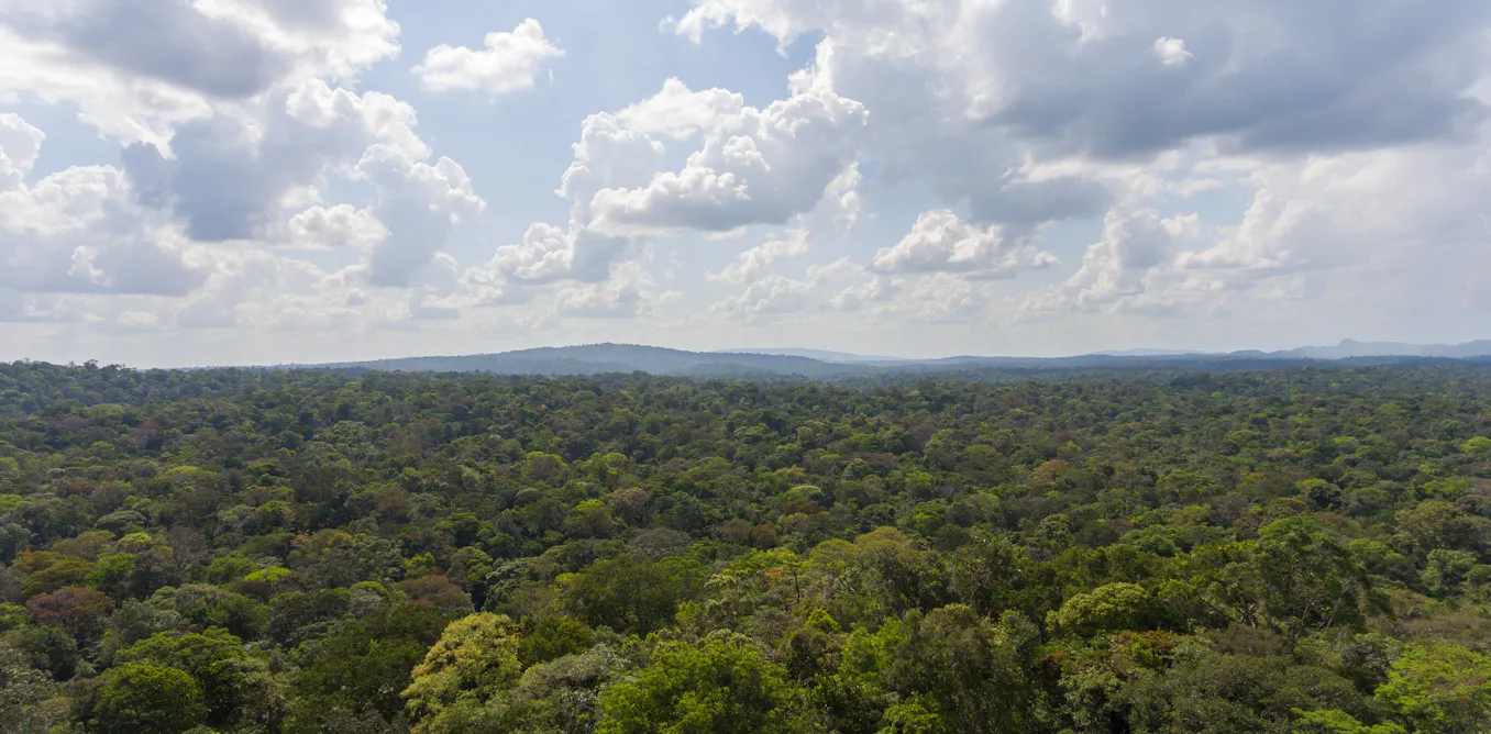An agreement ends resistance to a renewable energy plant in French Guiana… but is it energy justice? An agreement ends resistance to a renewable energy plant in French Guiana… but is it energy justice?