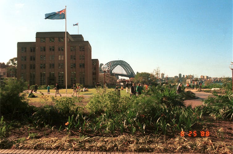 Looking north across a garden with the Museum of Contemporary Art behind and the Sydney Harbour Bridge in the distance.