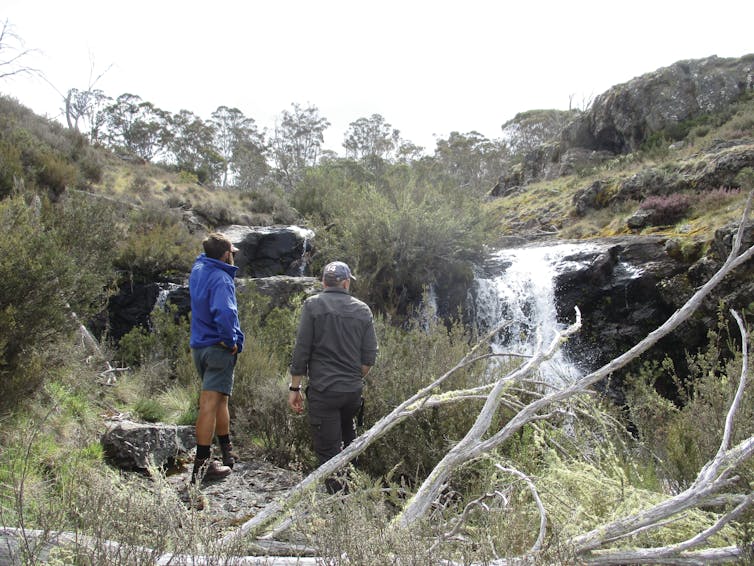 Two fish ecologists marvel at a small waterfall that is protecting native fish upstream