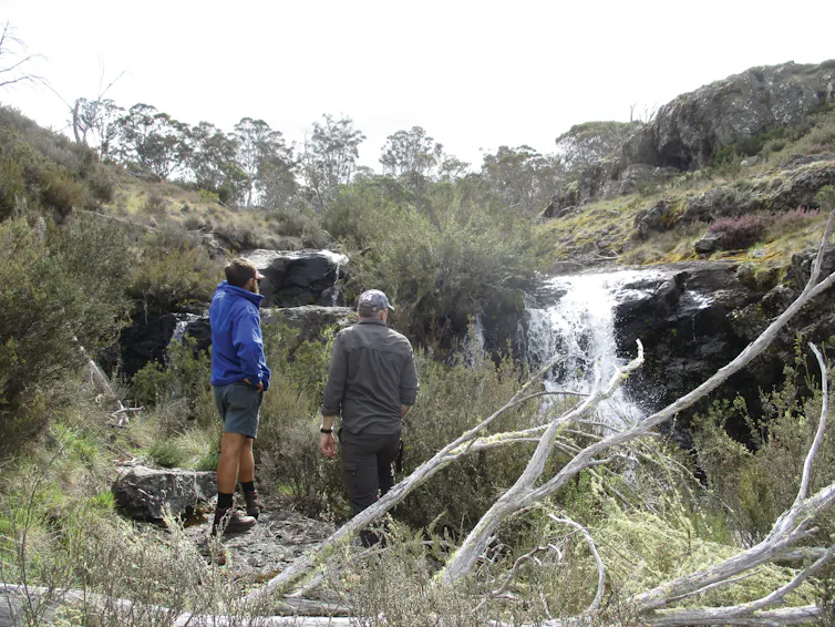 Two fish ecologists marvel at a small waterfall that is protecting native fish upstream