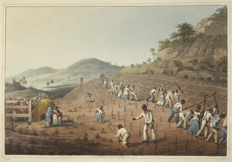 A painting of slaves working in a field.
