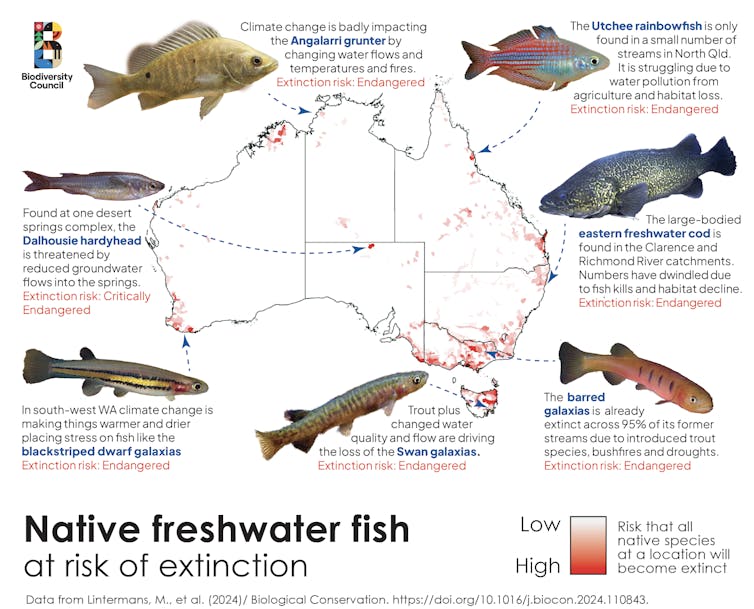 A map of Australia showing extinction risk hotspots surrounded by 7 fish.