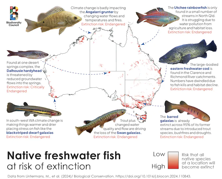 A map of Australia showing extinction risk hotspots surrounded by 7 fish.