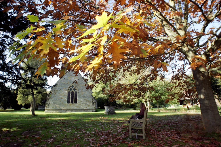 Yellow, green and orange leaves on a tree in a graveyard.