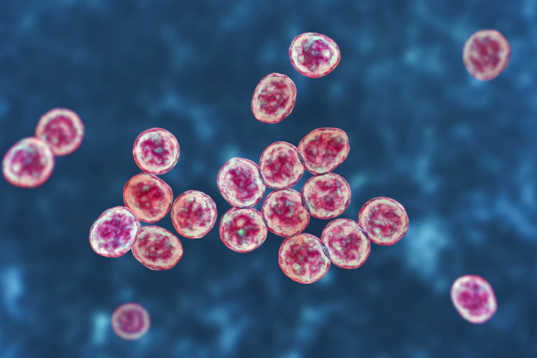 Pink spherical shapes against a blue background