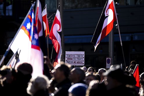 The Treaty Principles Bill is already straining social cohesion – a referendum could be worse