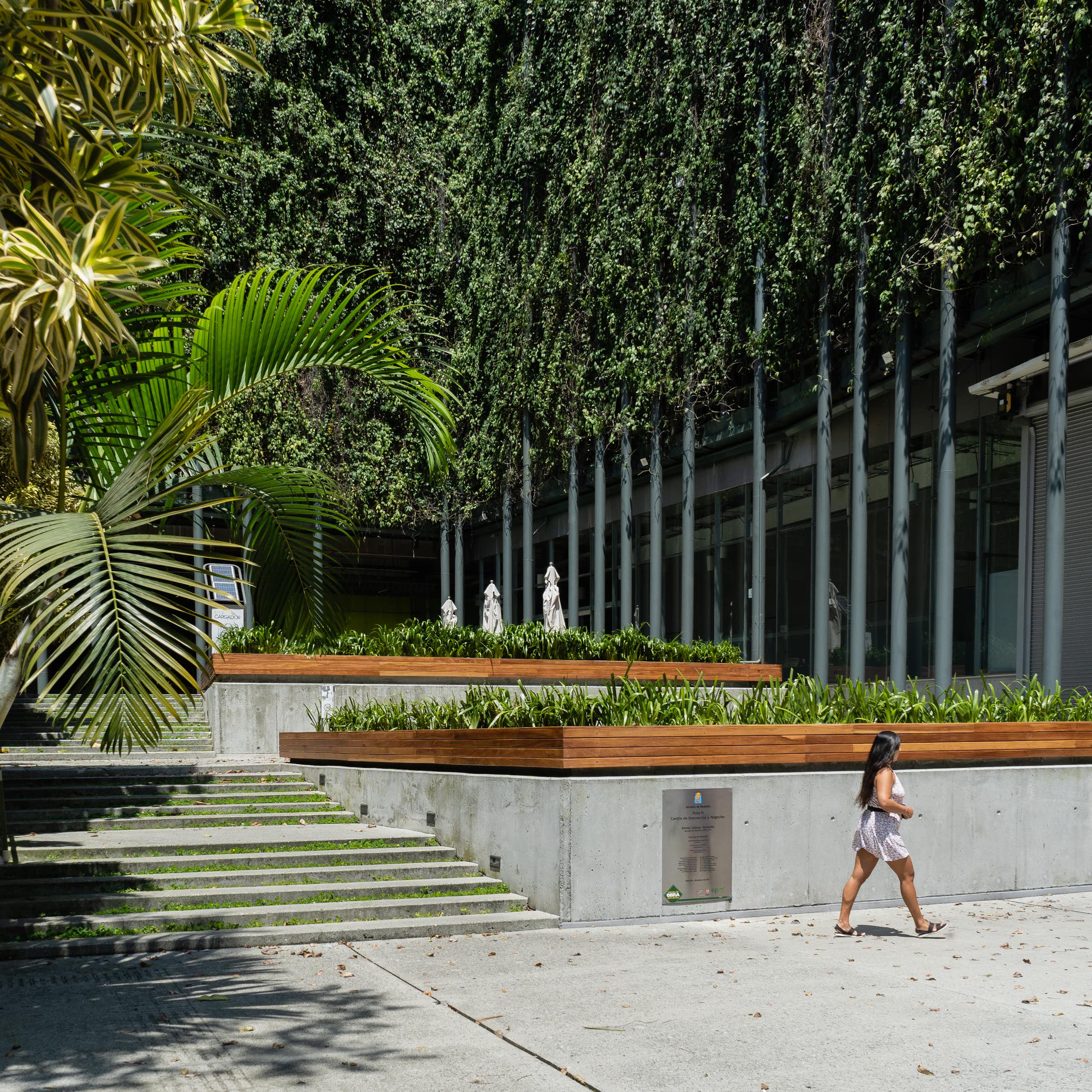 A woman walks past a terraced stairway shaded by tropical vegetation.