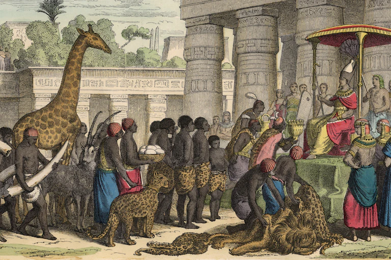 Illustration of people bringing animals to a figure seated under a canopy