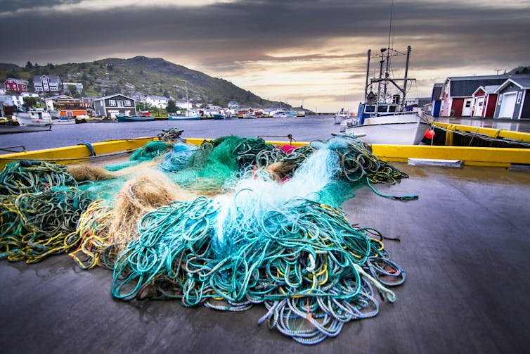 Fishing boats with nets in the harbour in Newfoundland