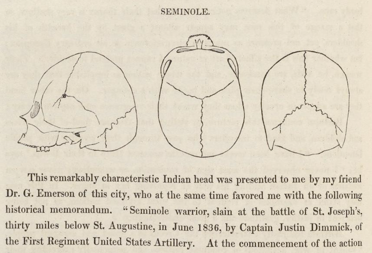 line drawing of a skull from three angles, with text beneath about how it was collected from battle