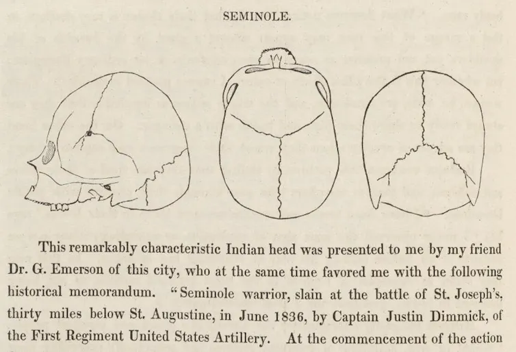 line drawing of a skull from three angles, with text beneath about how it was collected from battle