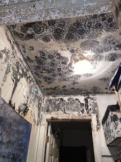A hallway covered in splotches of mold on the walls and ceiling.