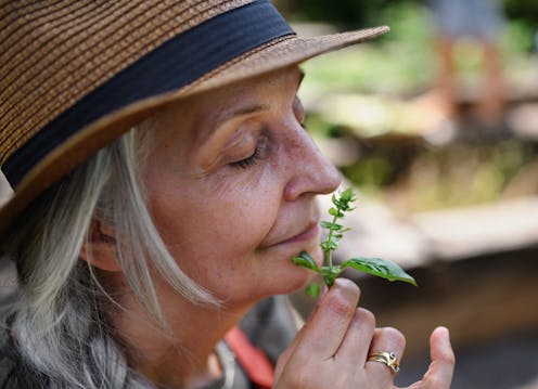 Air is an overlooked source of nutrients – evidence shows we can inhale some vitamins