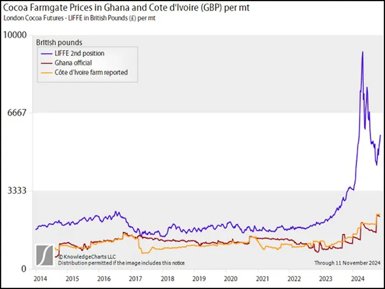 A chart showing the gap between the global benchmark cocoa price and the farmgate price received in Ghana and the Ivory Coast growing in 2023.