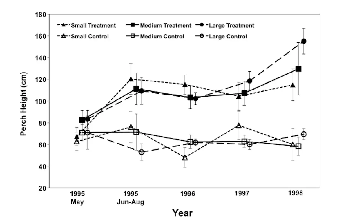 Invasive species trigger rapid evolution for lizards in Florida