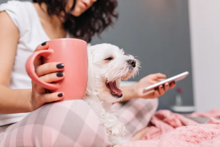 A young woman holds a cup in one hand and a phone in the other. A small dog sits on her lap yawning.