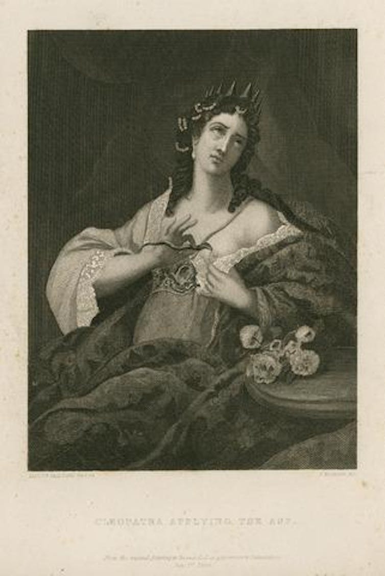 In the US, Cleopatra figures listen discussions across the race, style and intercourse 3 file 20241115 17 6vnev.jpg?ixlib=rb 4.1