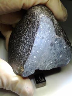 A cut surface of a Martian meteorite held by gloved fingers.