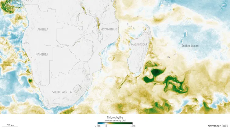 A gif image of a map that shows a giant green patch, the phytoplankton bloom, spreading out across a vast area over time