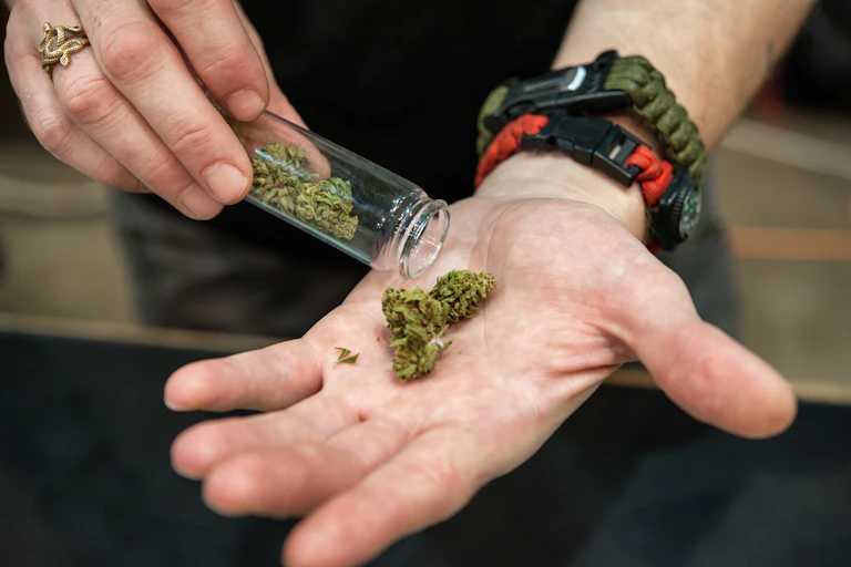 Person tipping cannabis buds from a tube into his hand.