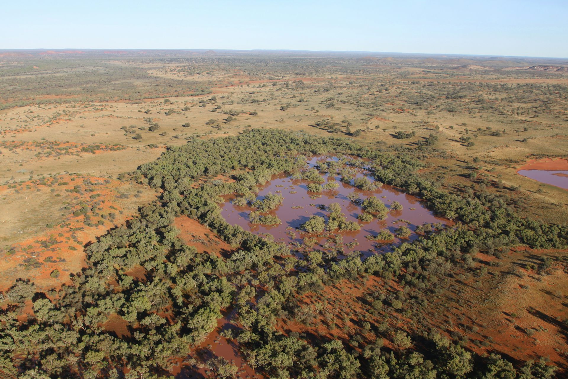 aerial view of semi-arid land and shrubs