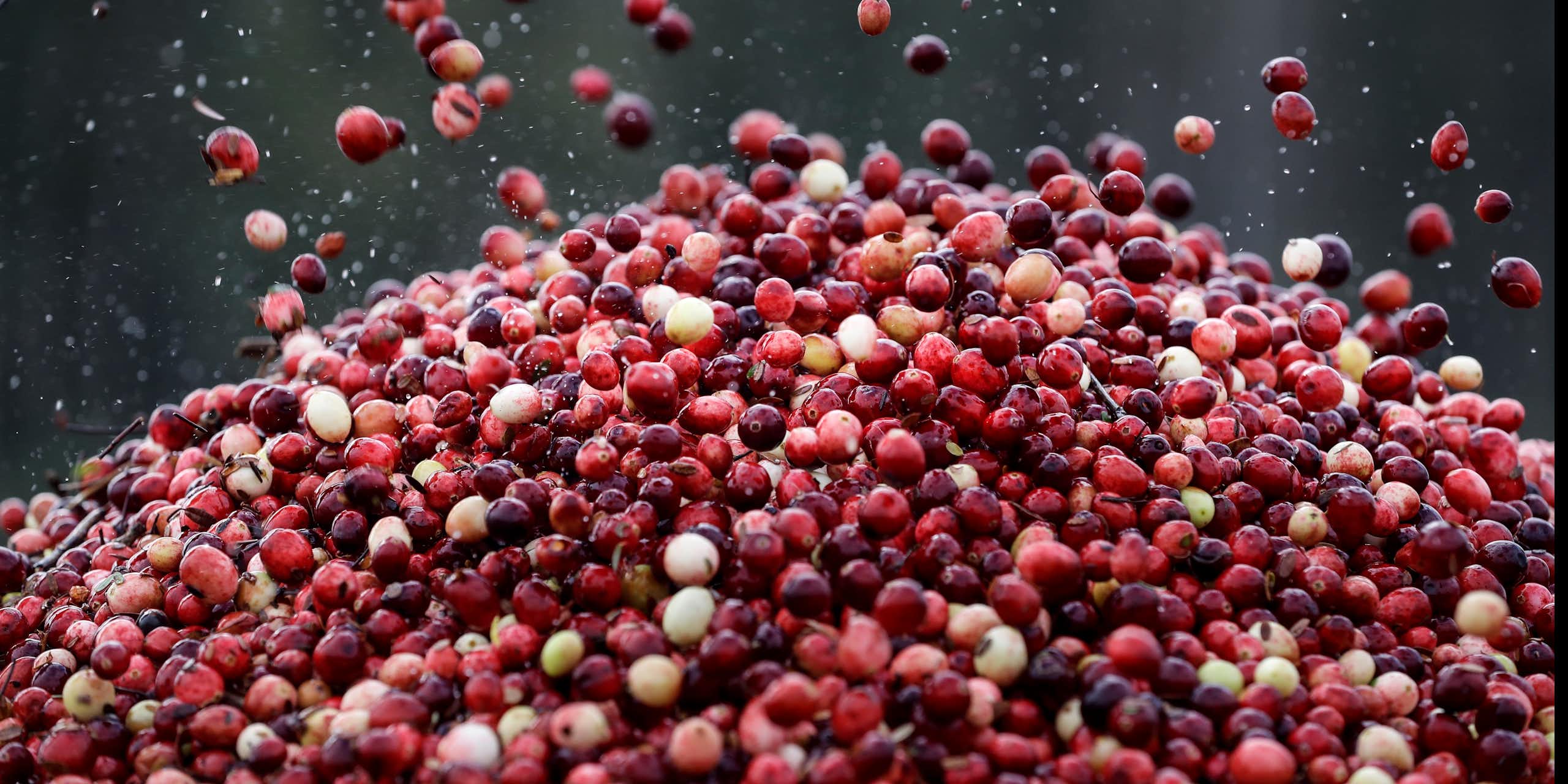 A pile of fresh cranberries.