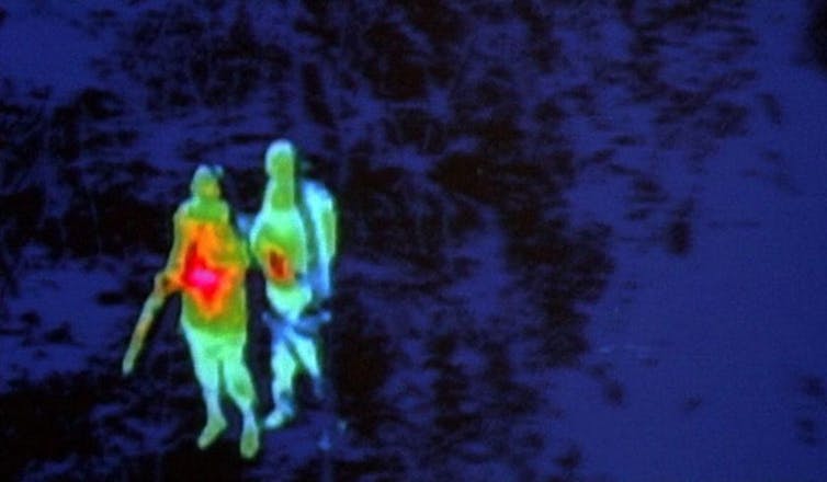 Cinema Infrared: New Golden Age 1 file 20241119 15 n586t8.jpg?ixlib=rb 4.1