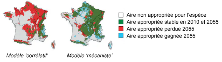 Répartition du hêtre en 2055 à partir de prédictions d’un modèle corrélatif (à gauche) et d’un modèle mécaniste (à droite)