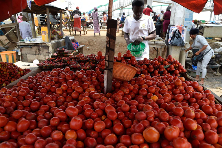 A tomato vendor stands by ware at a market