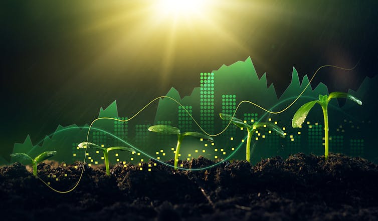 Graphic of growing seedling with financial chart backdrop.