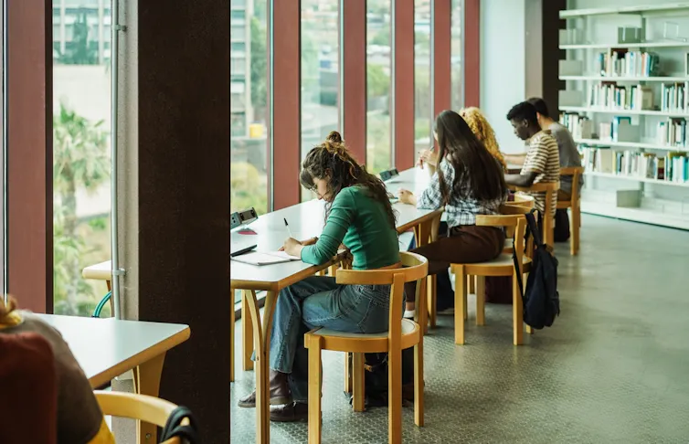 A group of students studying at the library