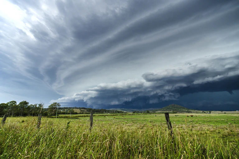 Dark storm clouds gather over a field of grass.