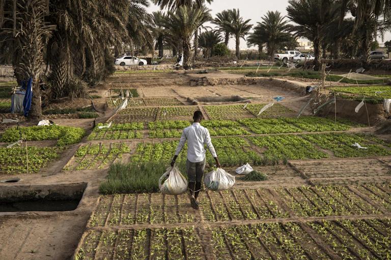 A person carrying two sacks of vegetables walks through a small garden in a city