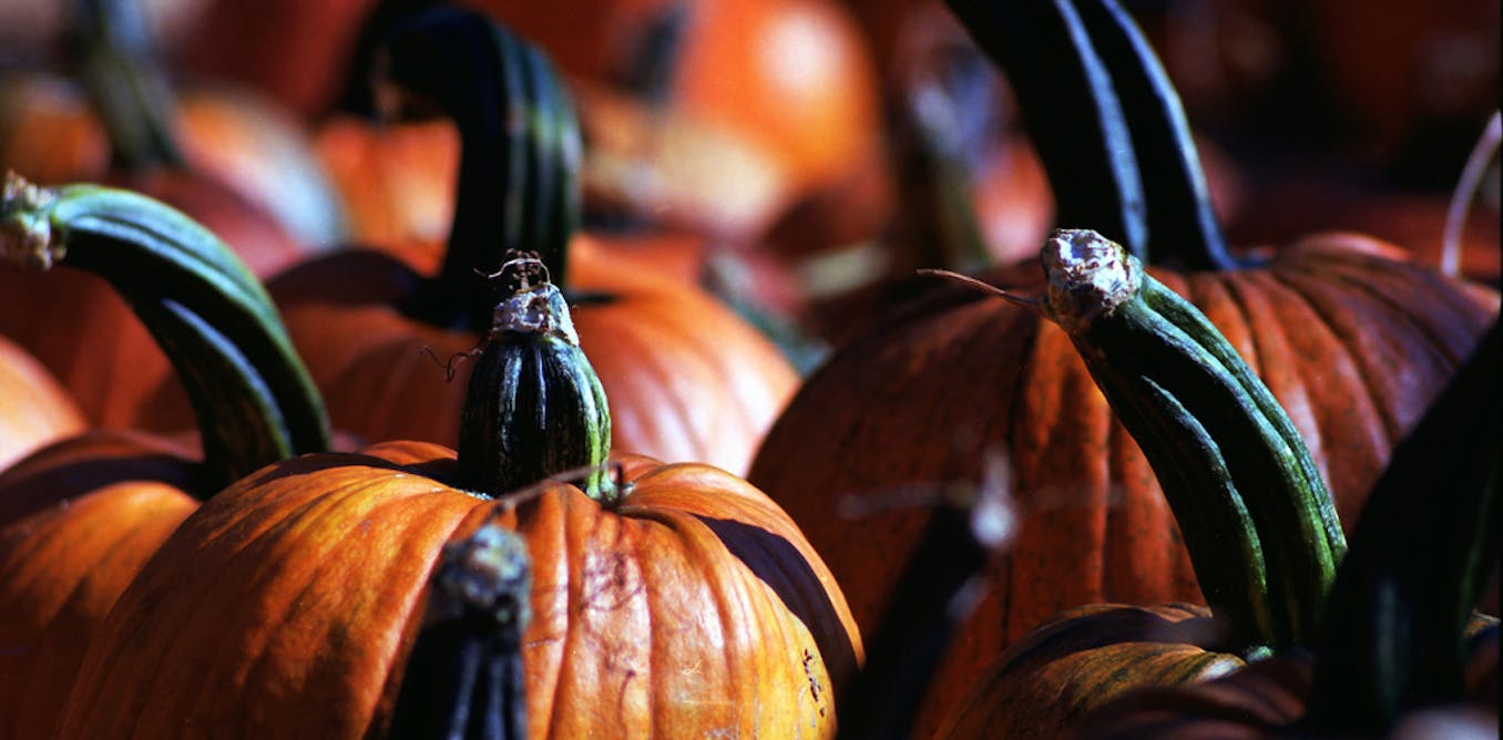 From scary stories to scowling pumpkins, Halloween has pagan roots