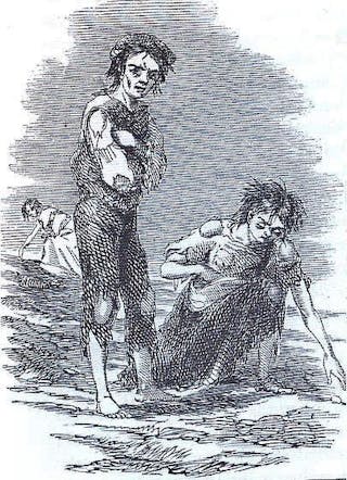 Image result for potato famine in ireland