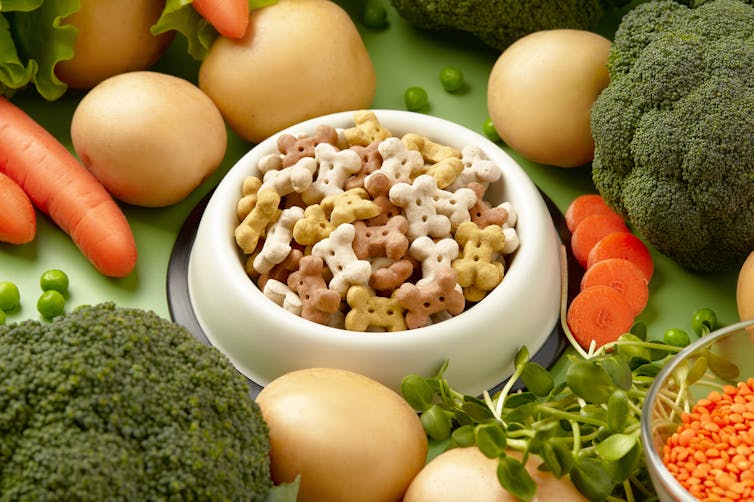 A bowl of dog biscuits surrounded by vegetables.