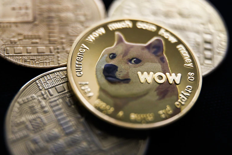Gold coin featuring a dog's head with the word 'WOW.'