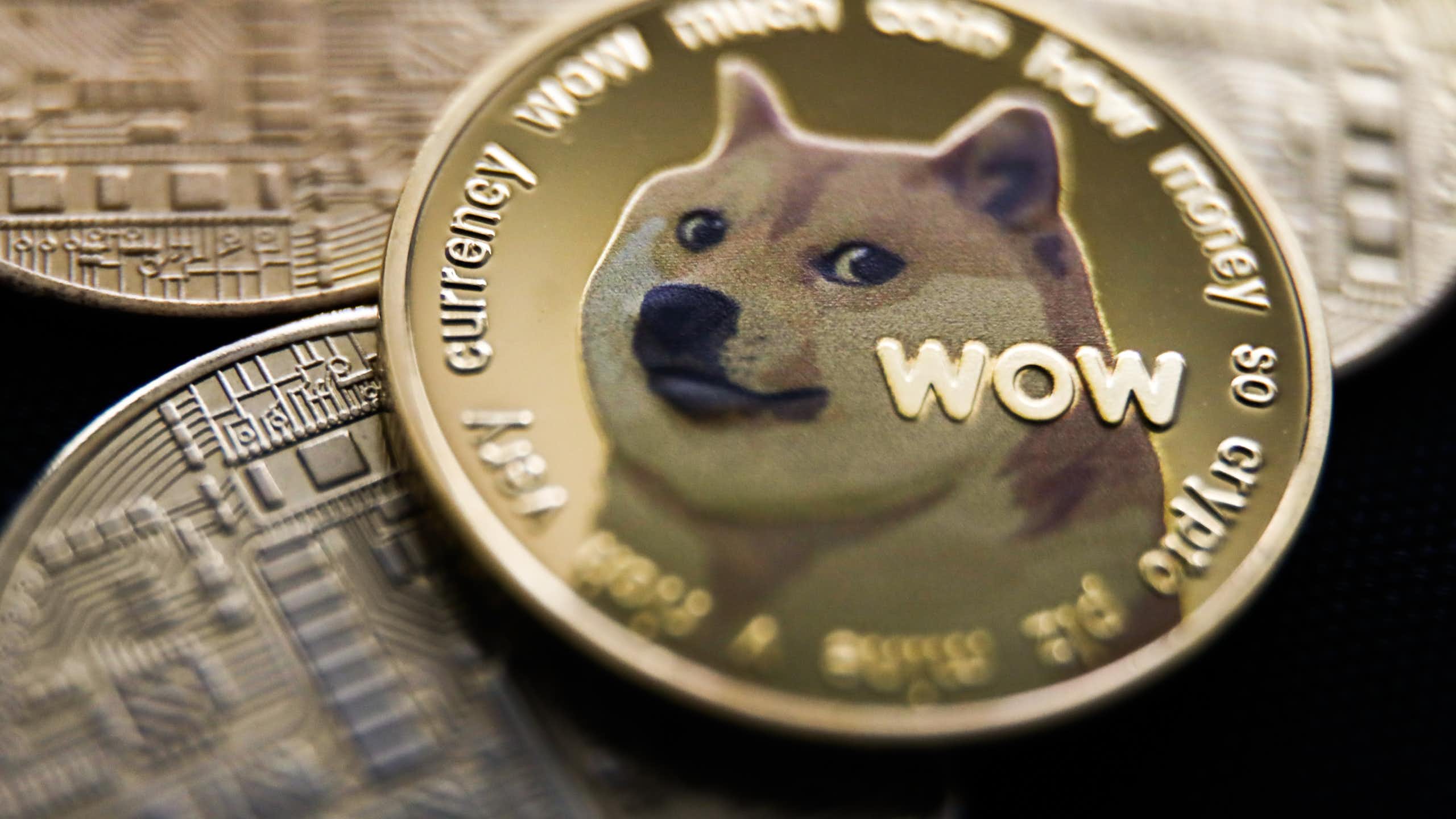 Gold coin featuring a dog's head with the word 'WOW.'