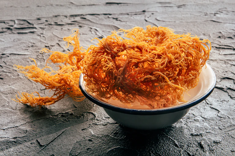 Dark yellow sea weed in a bowl on a grey background.