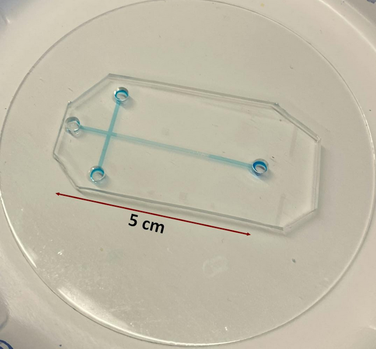 Clear rectangular piece of glass around five centimeters long, with two blue lines intersecting like a cross with wells at each point