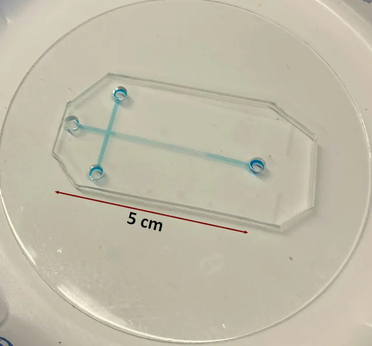 Clear rectangular piece of glass around five centimeters long, with two blue lines intersecting like a cross with wells at each point