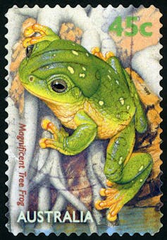 An old Australian postage stamp for 45 cents with the image of a green tree frog
