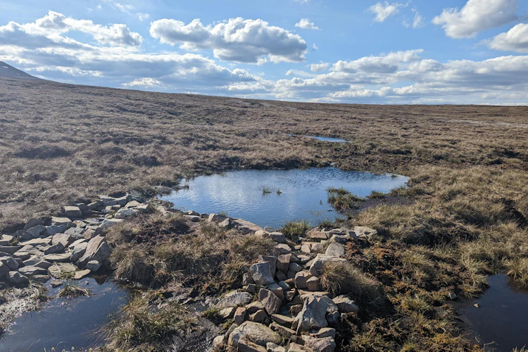 peatland habitat, boddy with water, blue sky