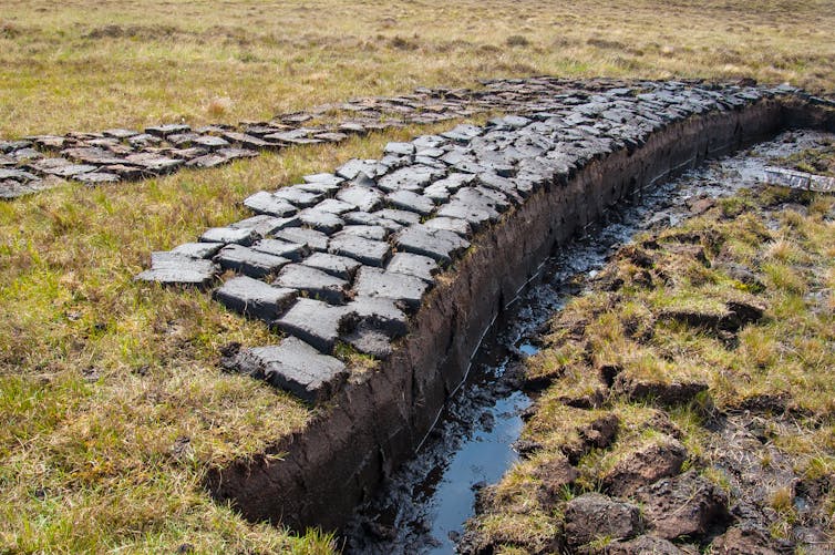 peat cut on peatland, left out to dry